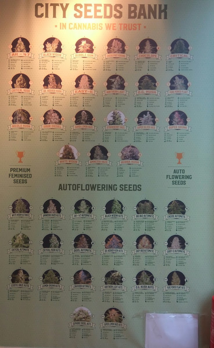 Louis Bar Menu - Image 5